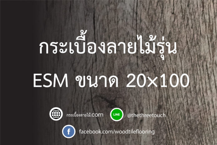กระเบื้องลายไม้รุ่น ESM ขนาด 20x100