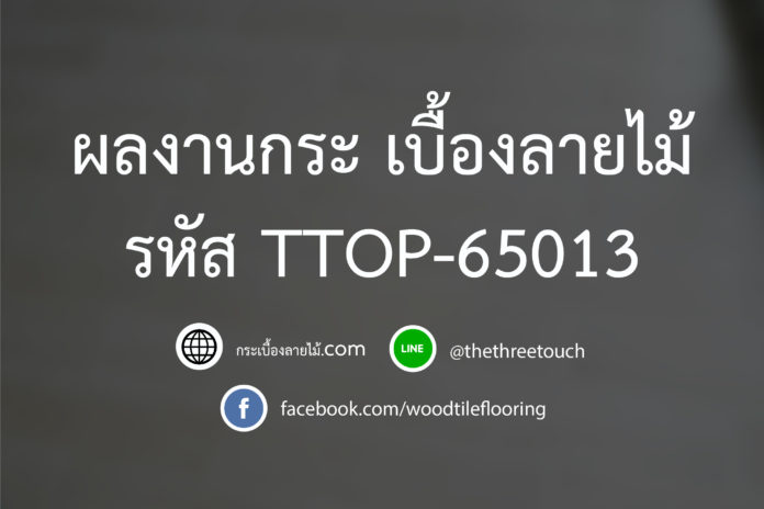 รหัส TTOP-65013-03